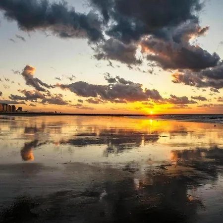 Beachfront Bliss In Style * Middelkerke