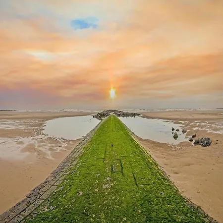 Beachfront Bliss In Style